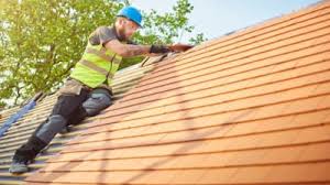 Best Roof Maintenance and Cleaning  in New Carlisle, OH