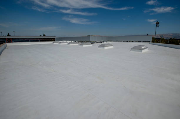Best Asphalt Shingle Roofing  in New Carlisle, OH