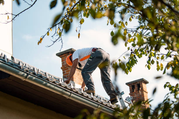 Best Roof Leak Repair  in New Carlisle, OH