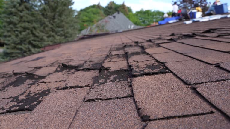 Best Gutter Installation and Repair  in New Carlisle, OH