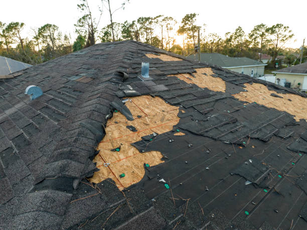 Best Roof Ventilation Installation  in New Carlisle, OH